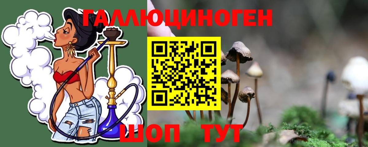 Галлюциногенные грибы Cubensis Новый Уренгой